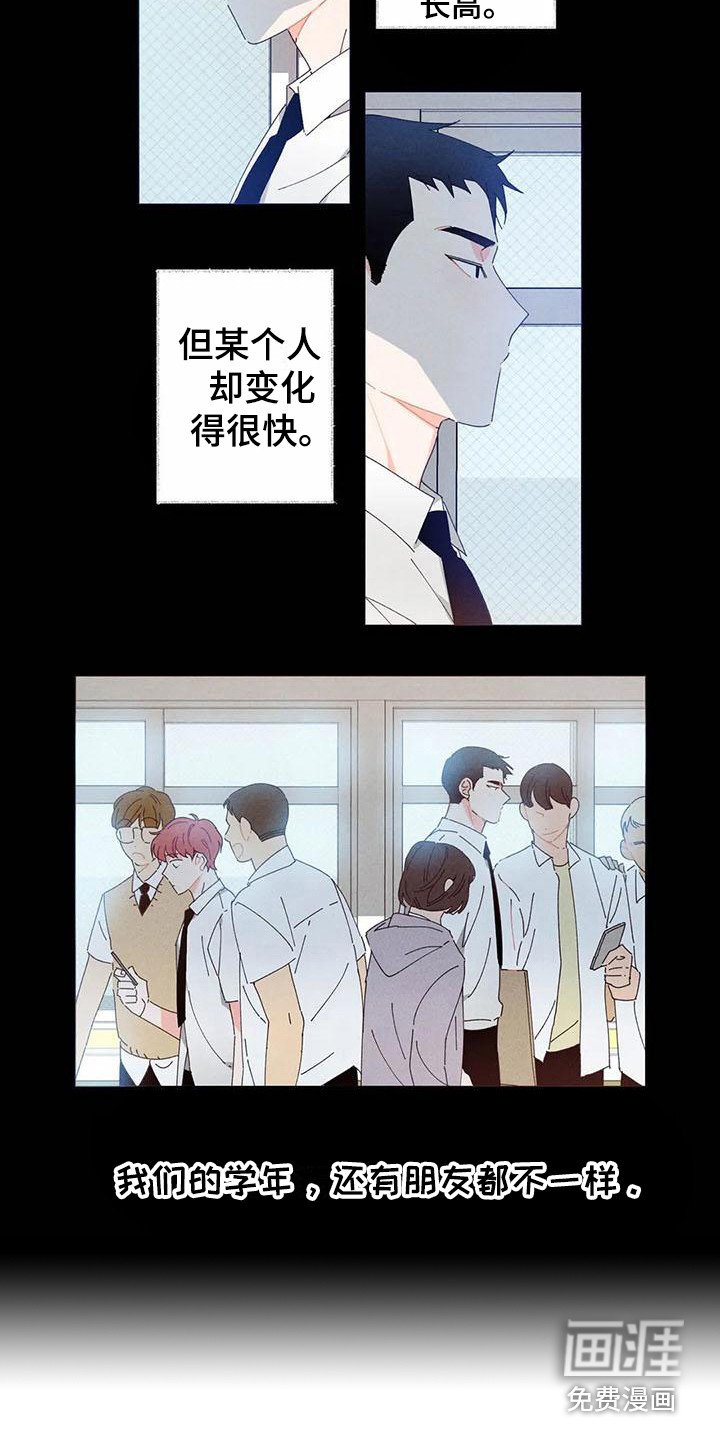 第11章：哦，这是一个玩具：变得不同