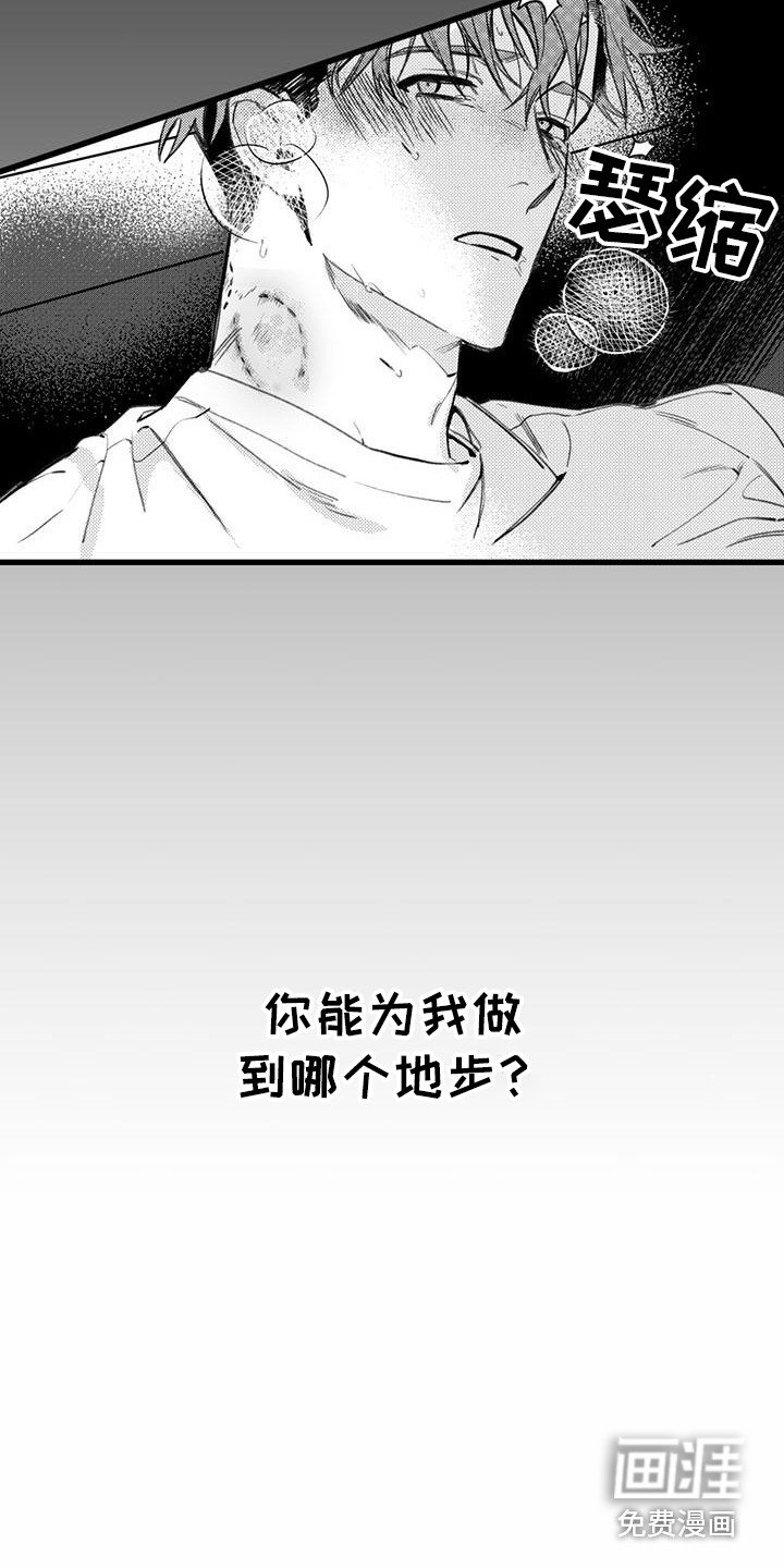 第15章：你想要的没有实现：哪个地步