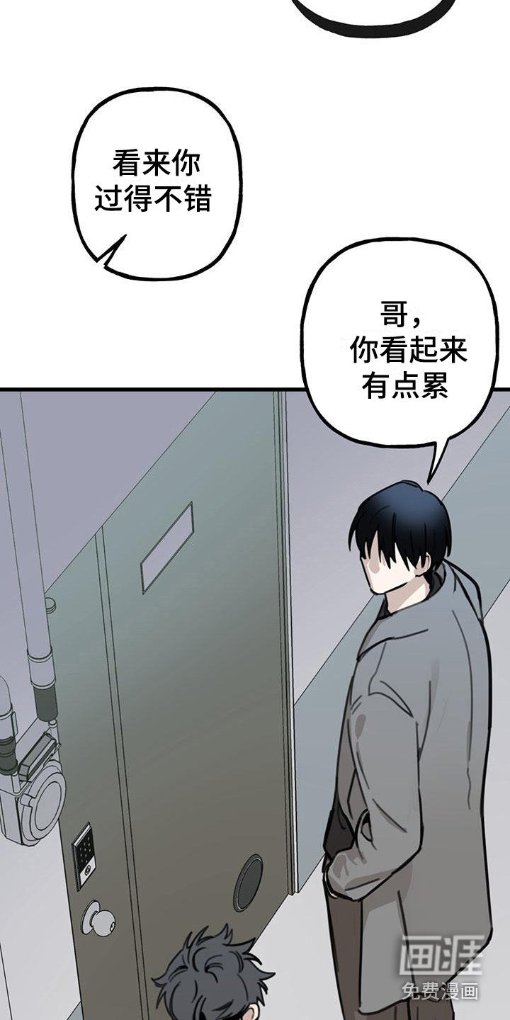 第16章：你想要的没有实现：唠叨