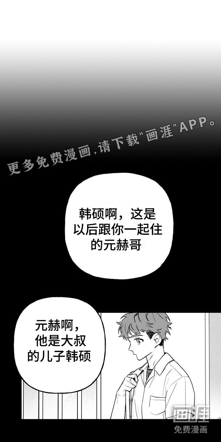第17章：你想要的没有实现：药