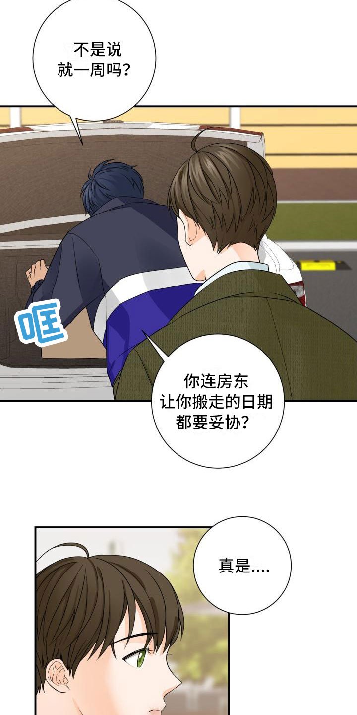 第3章：安慰