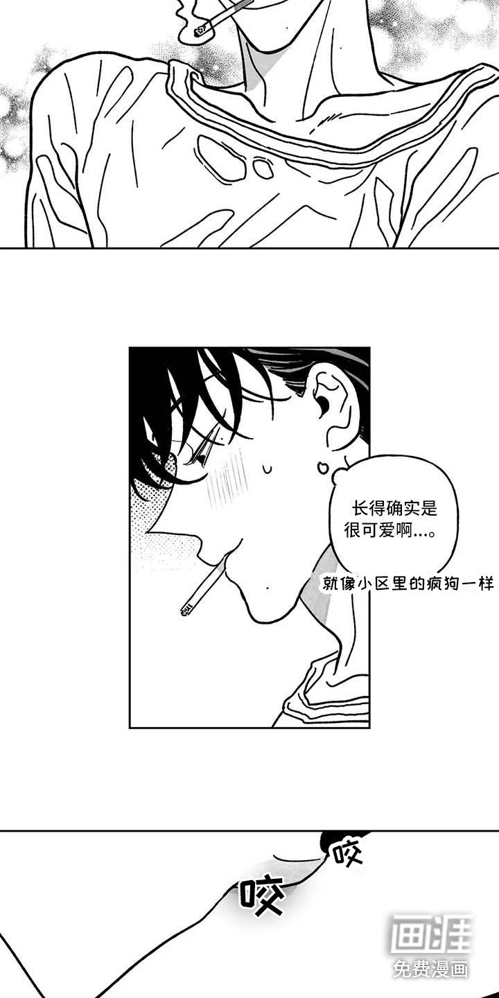 第11章：心情不坏