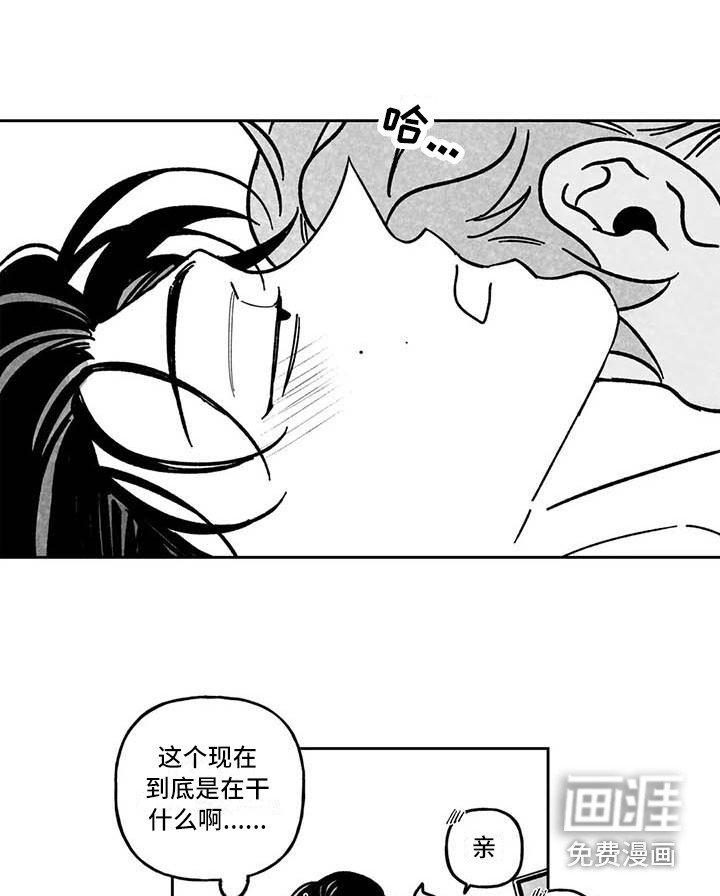 第11章：心情不坏