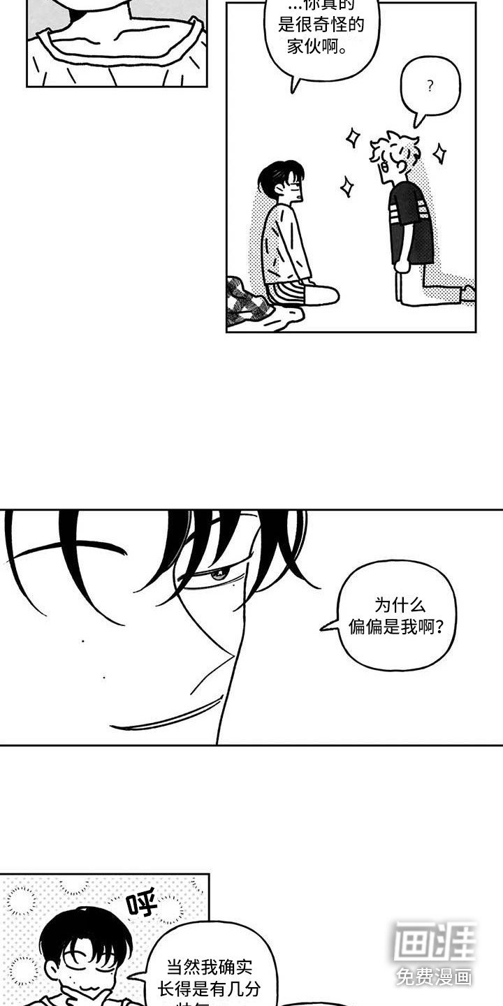 第12章：花言巧语