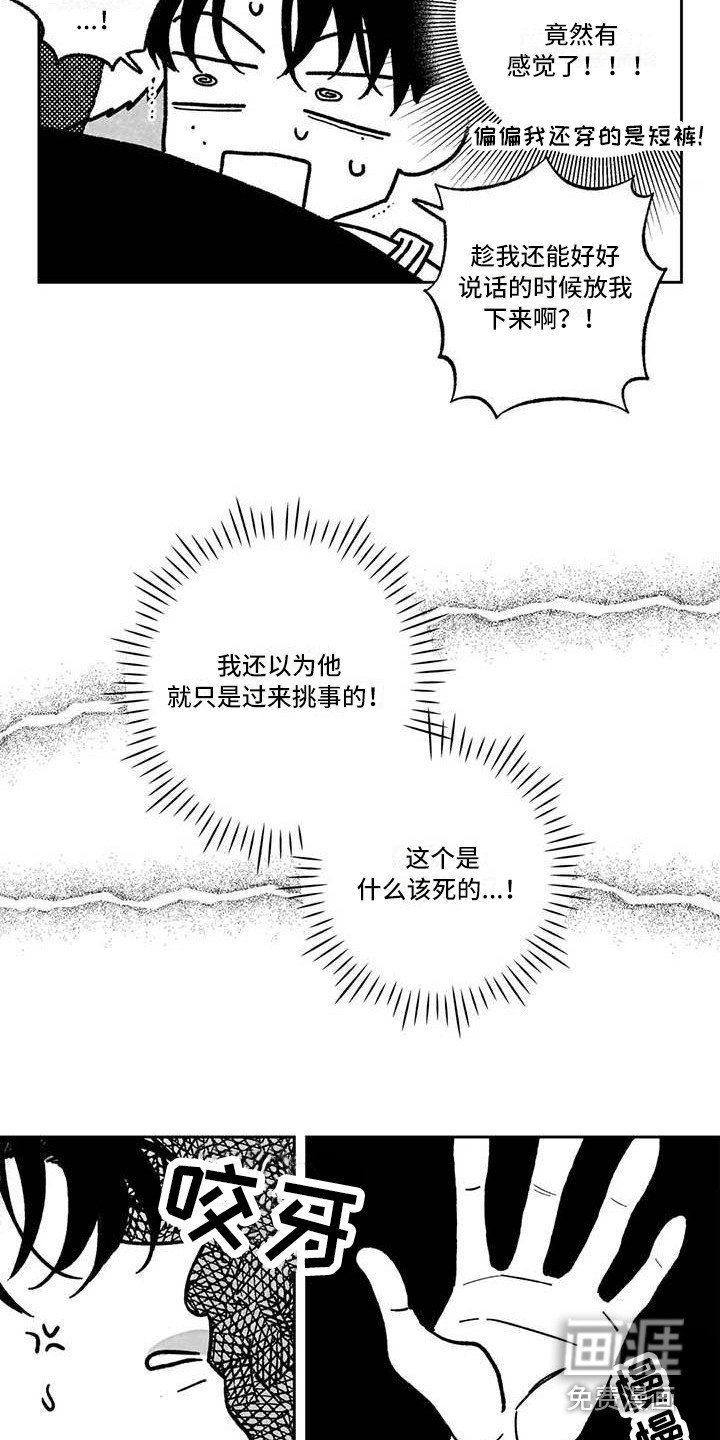 第15章：我行我素