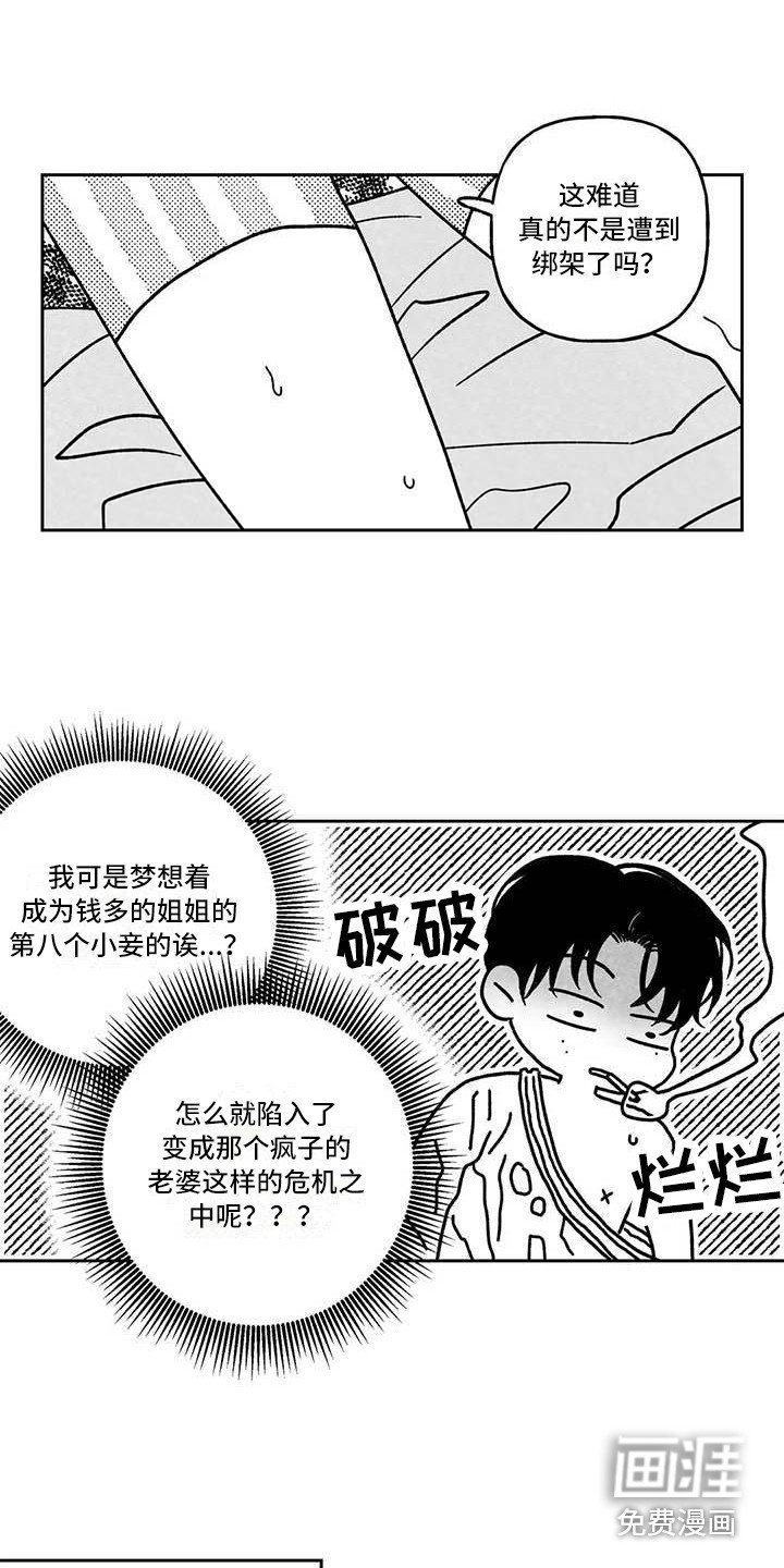 第17章：穷光蛋