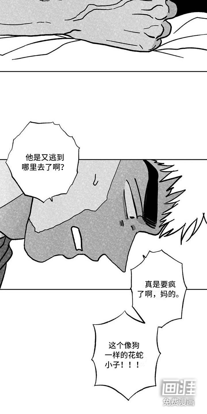 第21章：有点伤心