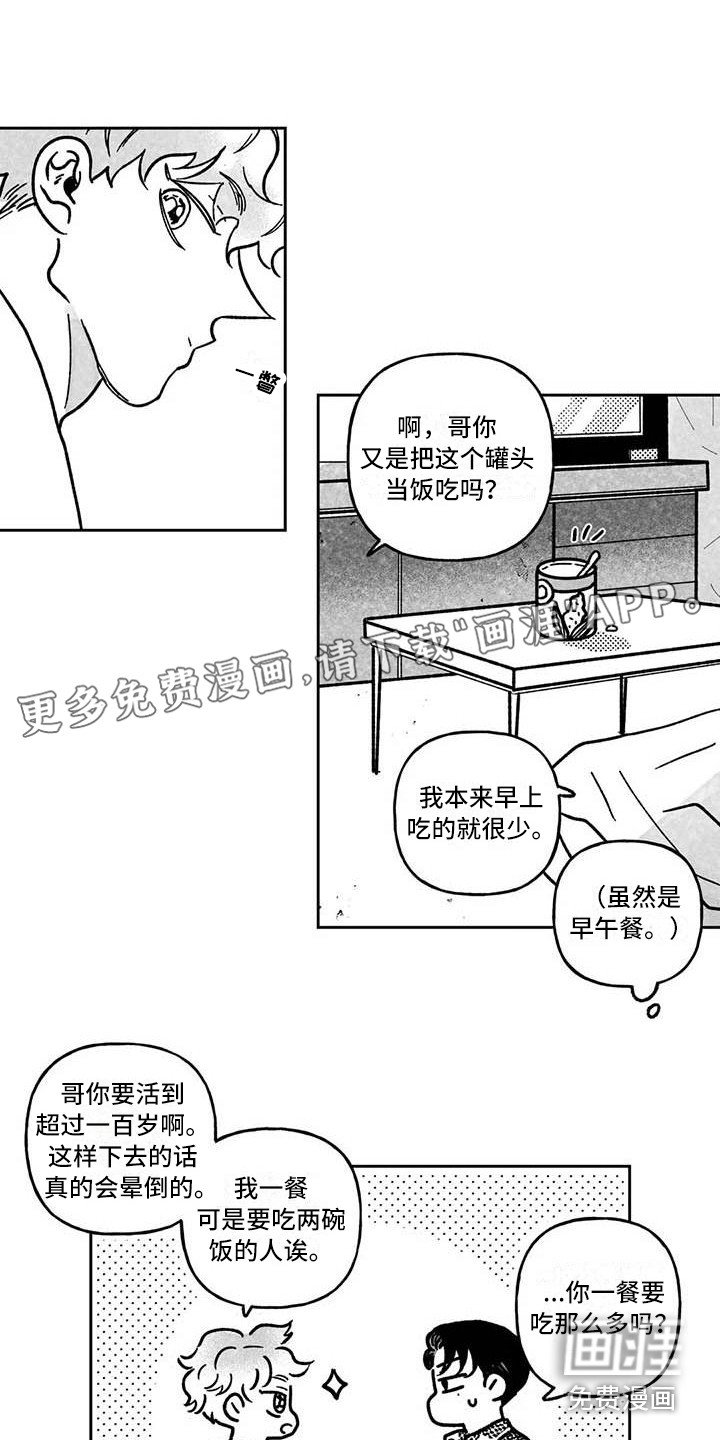 第6章：专业的