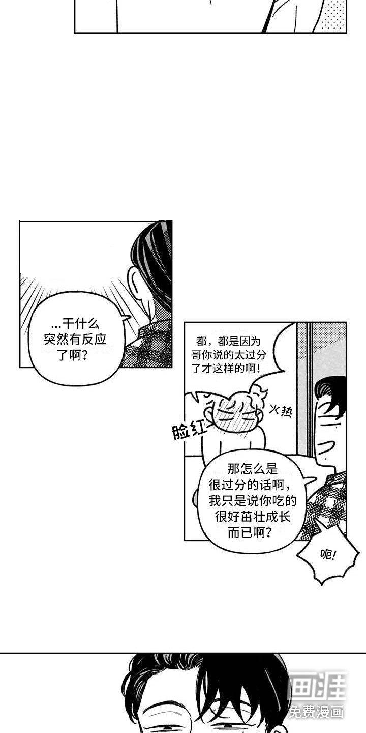 第6章：专业的