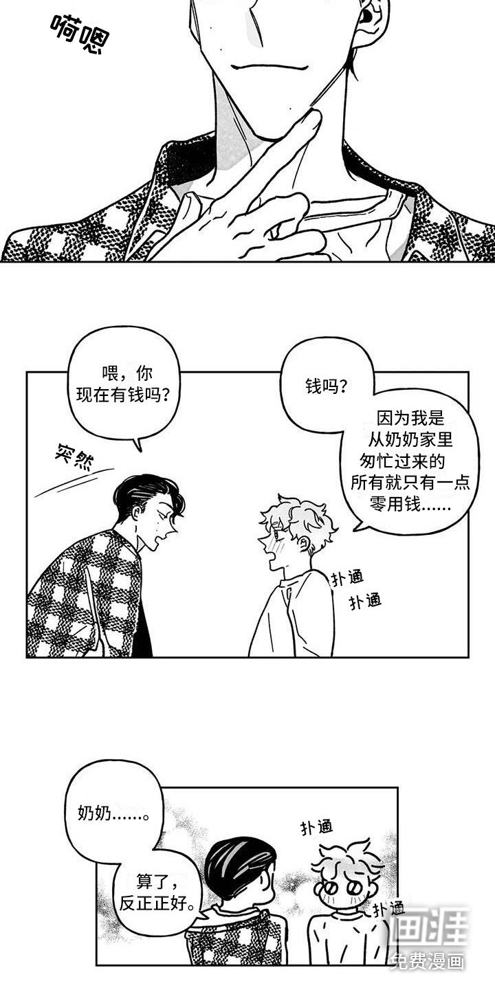 第6章：专业的