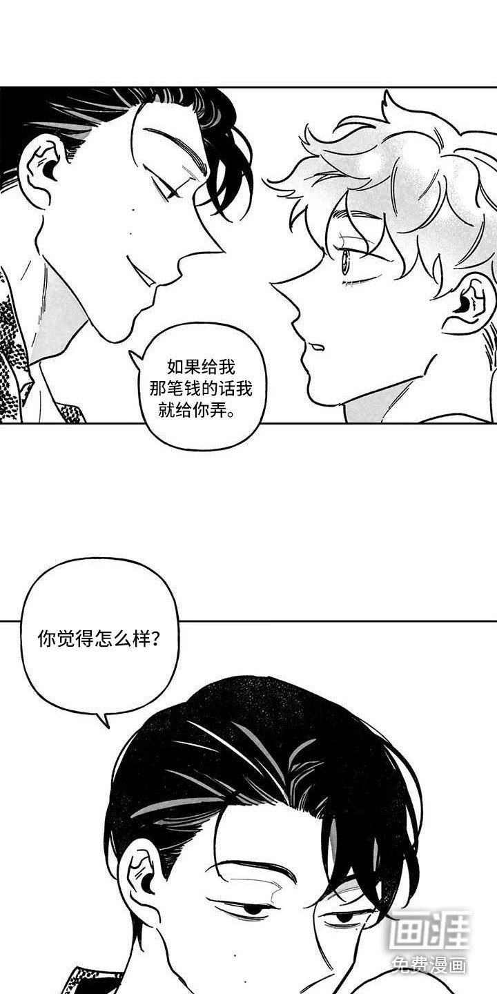 第6章：专业的