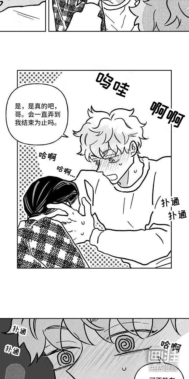 第6章：专业的