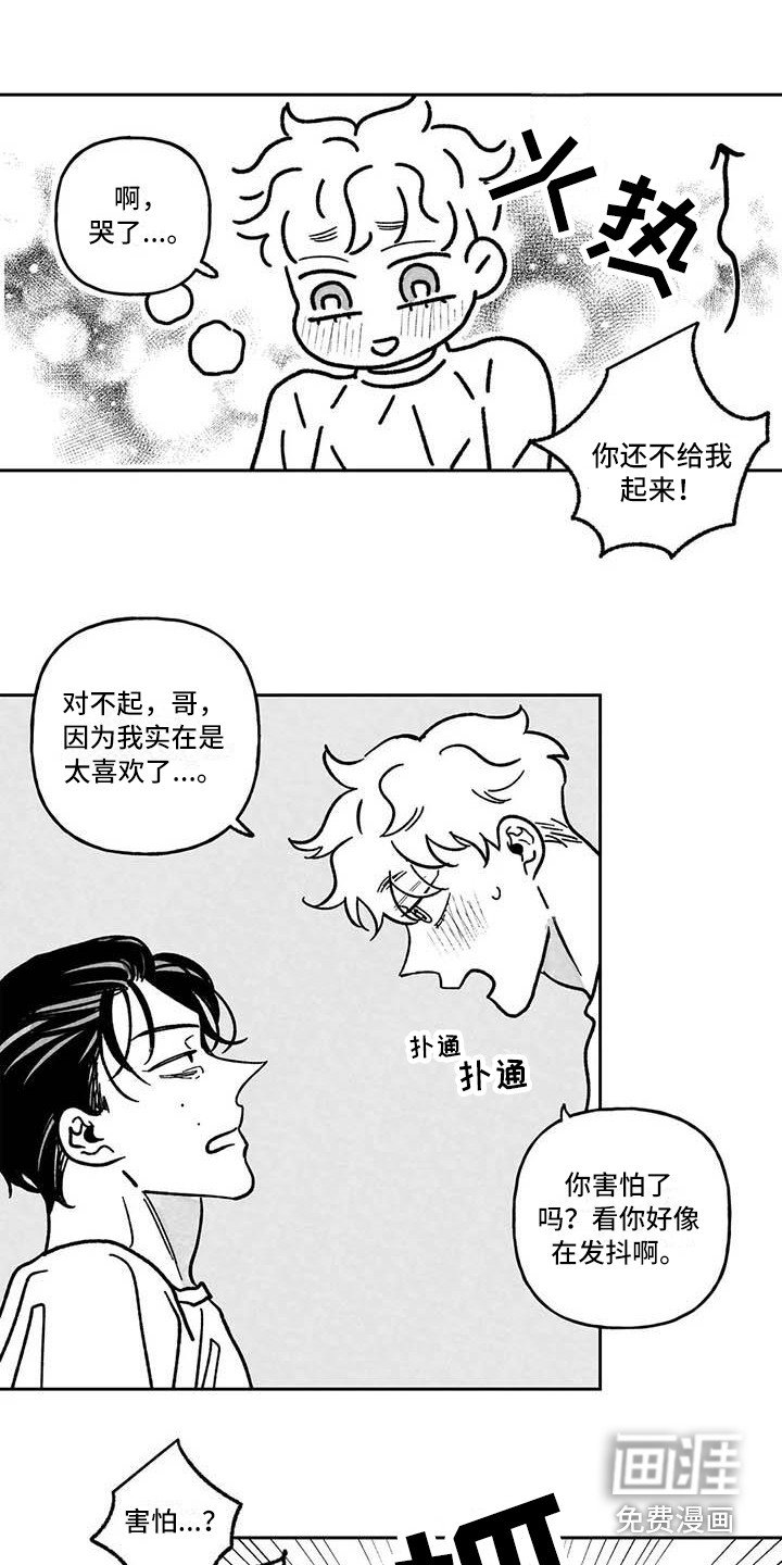 第6章：专业的
