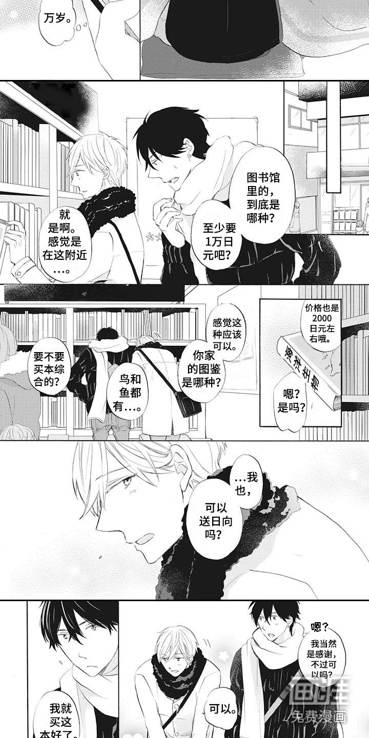 第19章：圣诞前夕