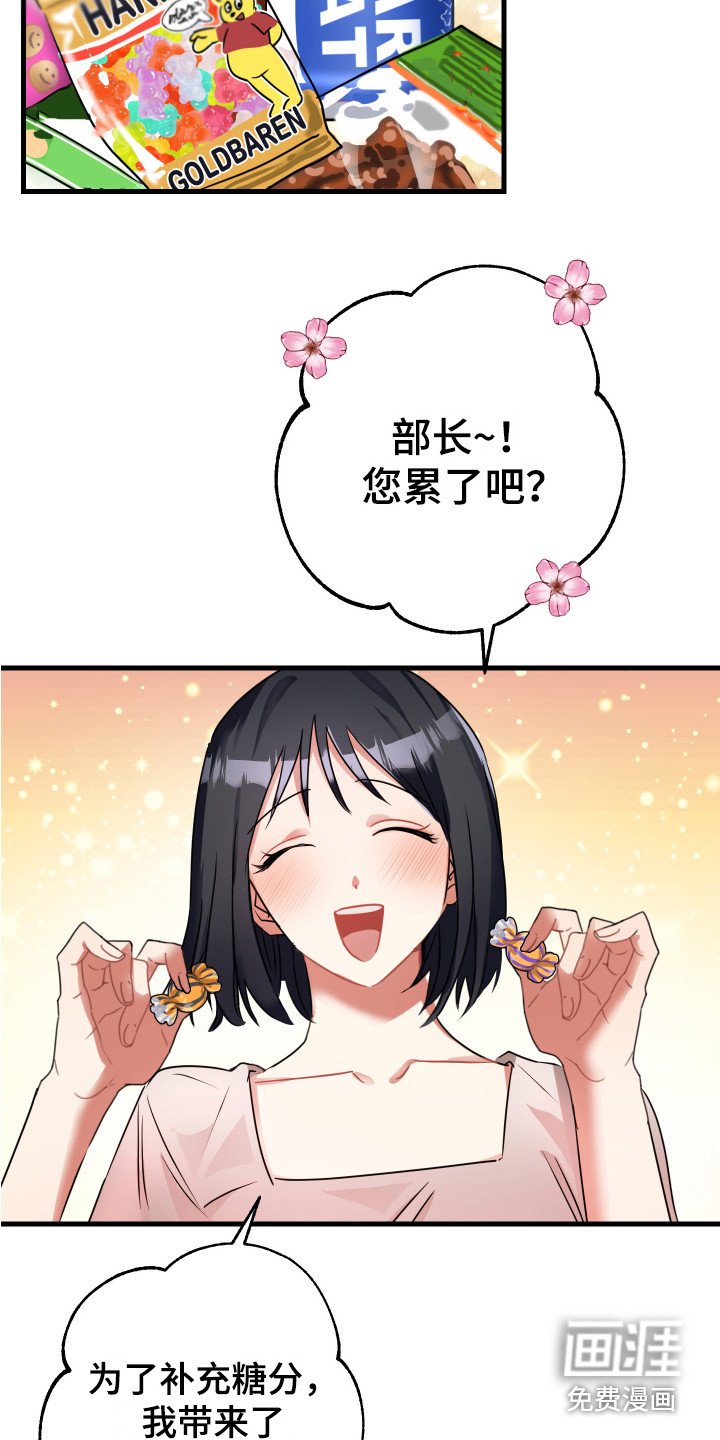 第13章：过分殷勤
