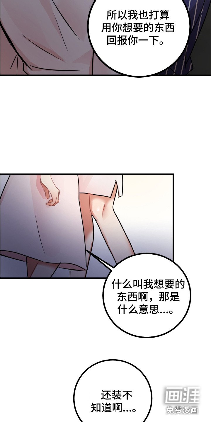第13章：过分殷勤