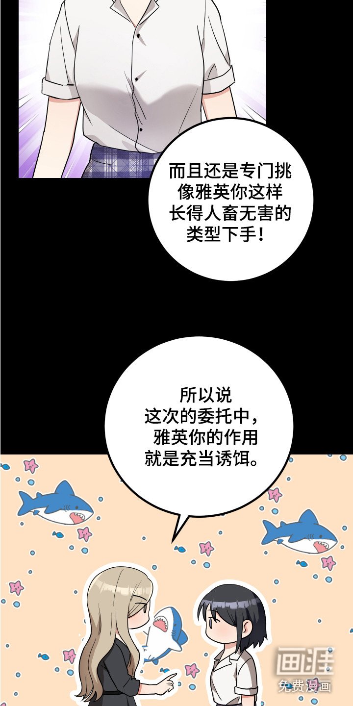 第27章：诱饵