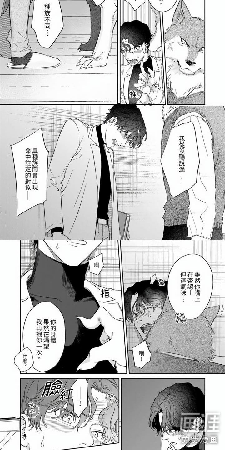第4章：再确认一次