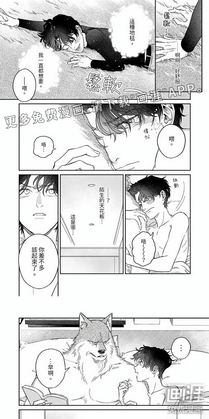 第5章：怎么会这样