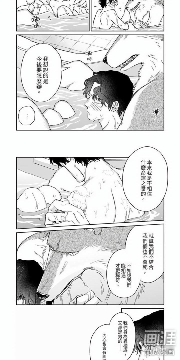 第6章：要成为番吗？