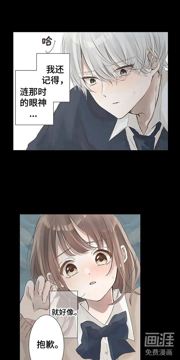 第6章：道歉