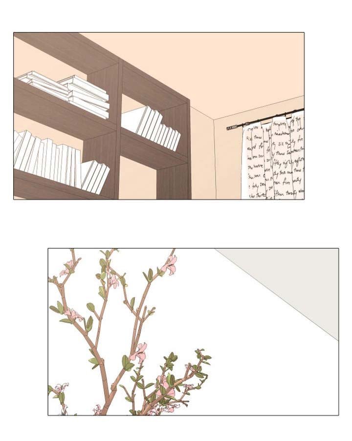 第26章：归来
