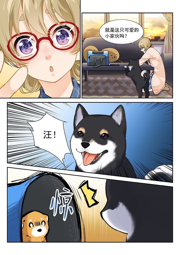 第29章：