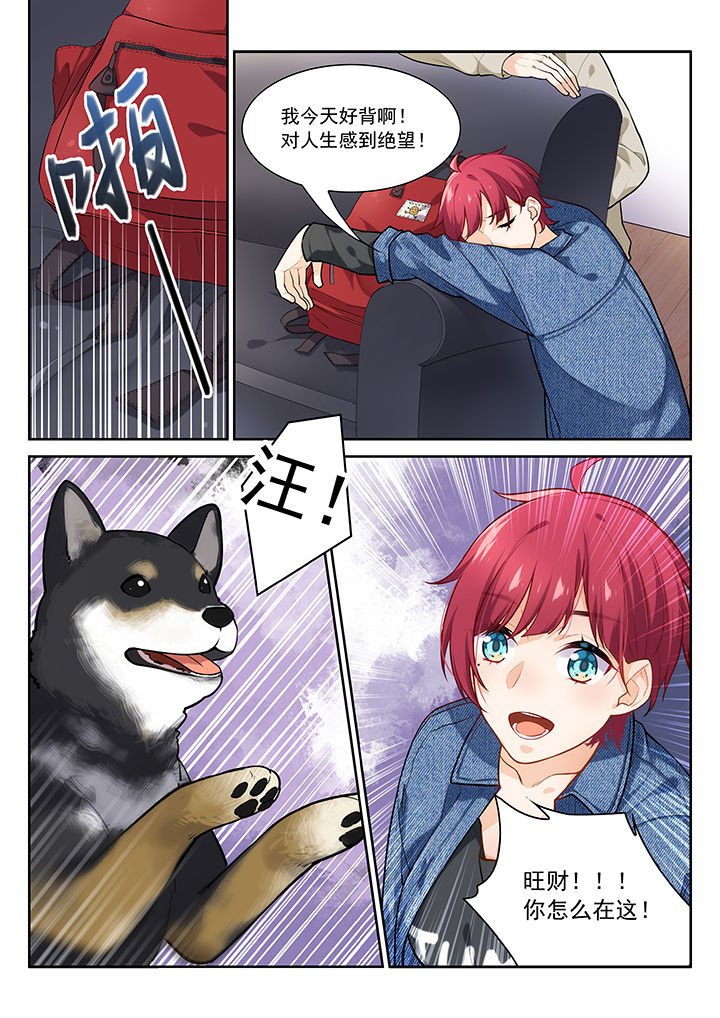 第29章：