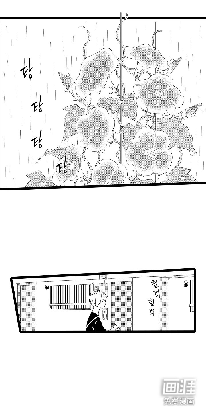 第17章：随时可以