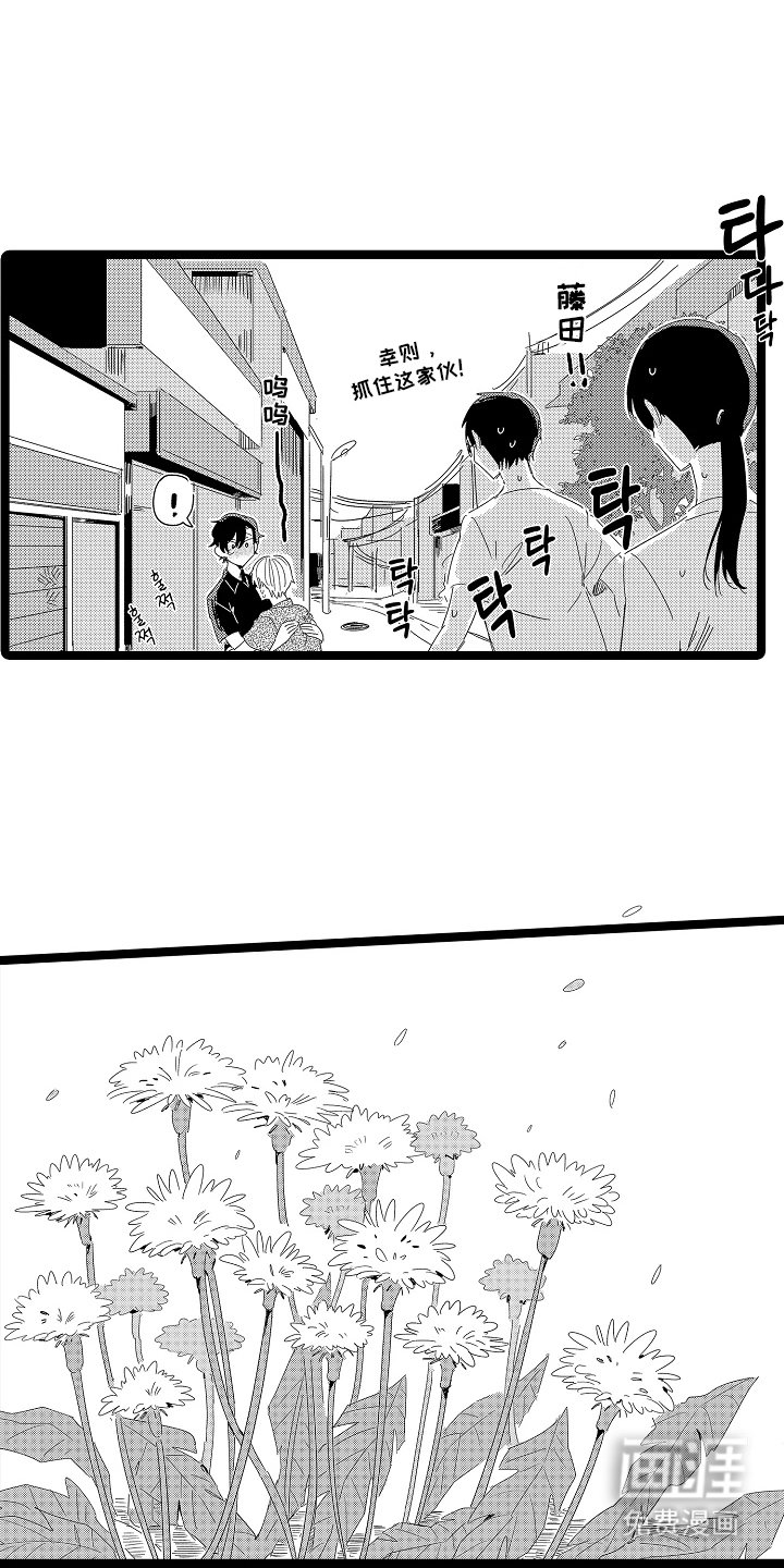 第22章：现在才明白