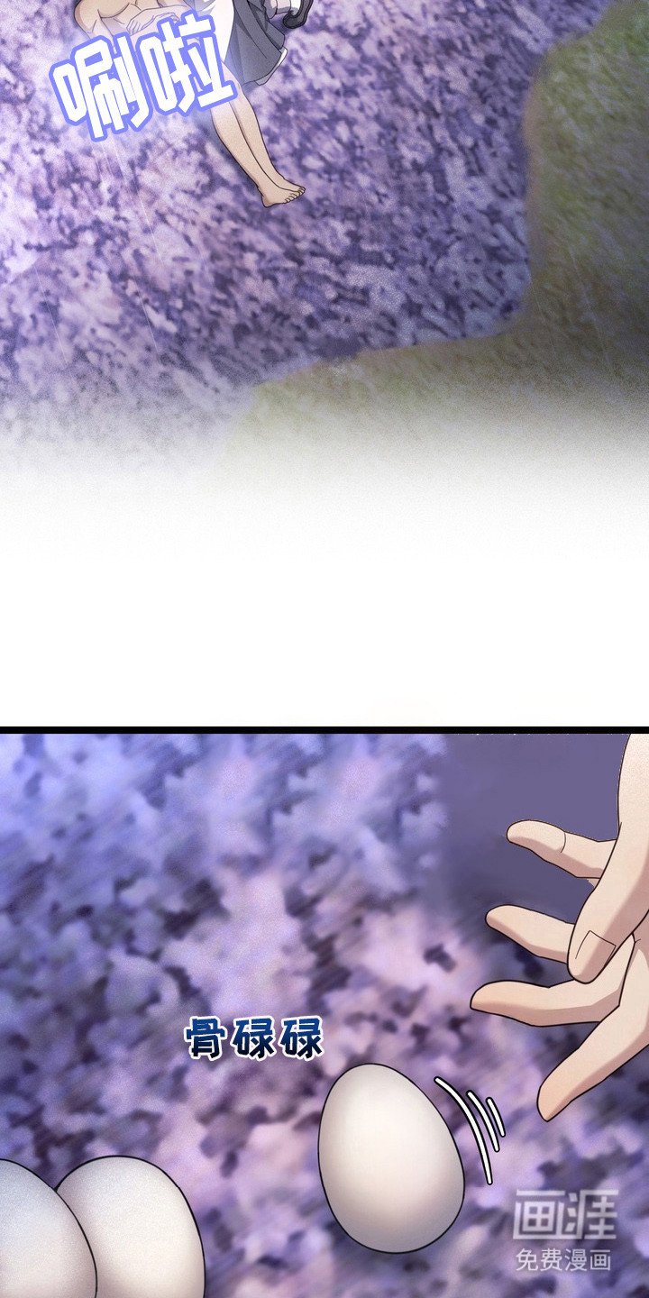 第12章：产卵