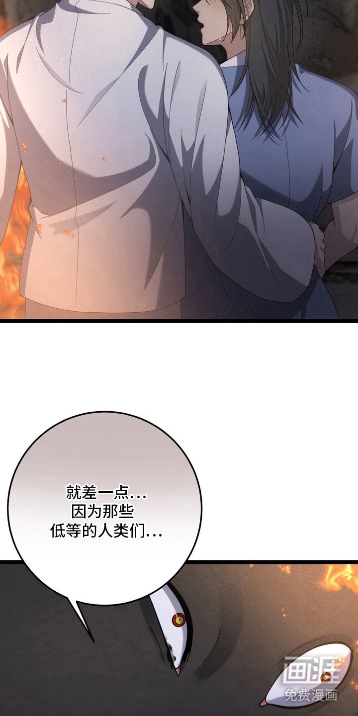 第26章：一直保护你（完结）