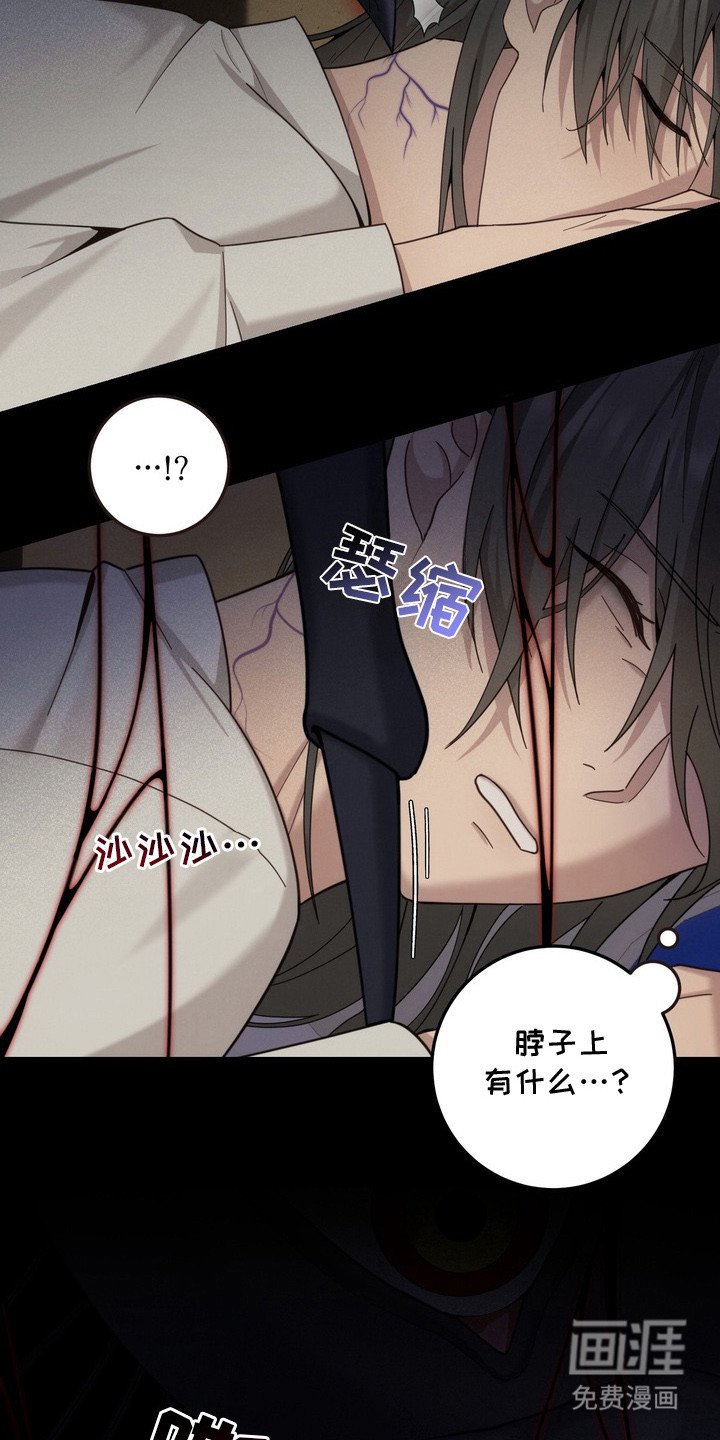 第5章：蜘蛛