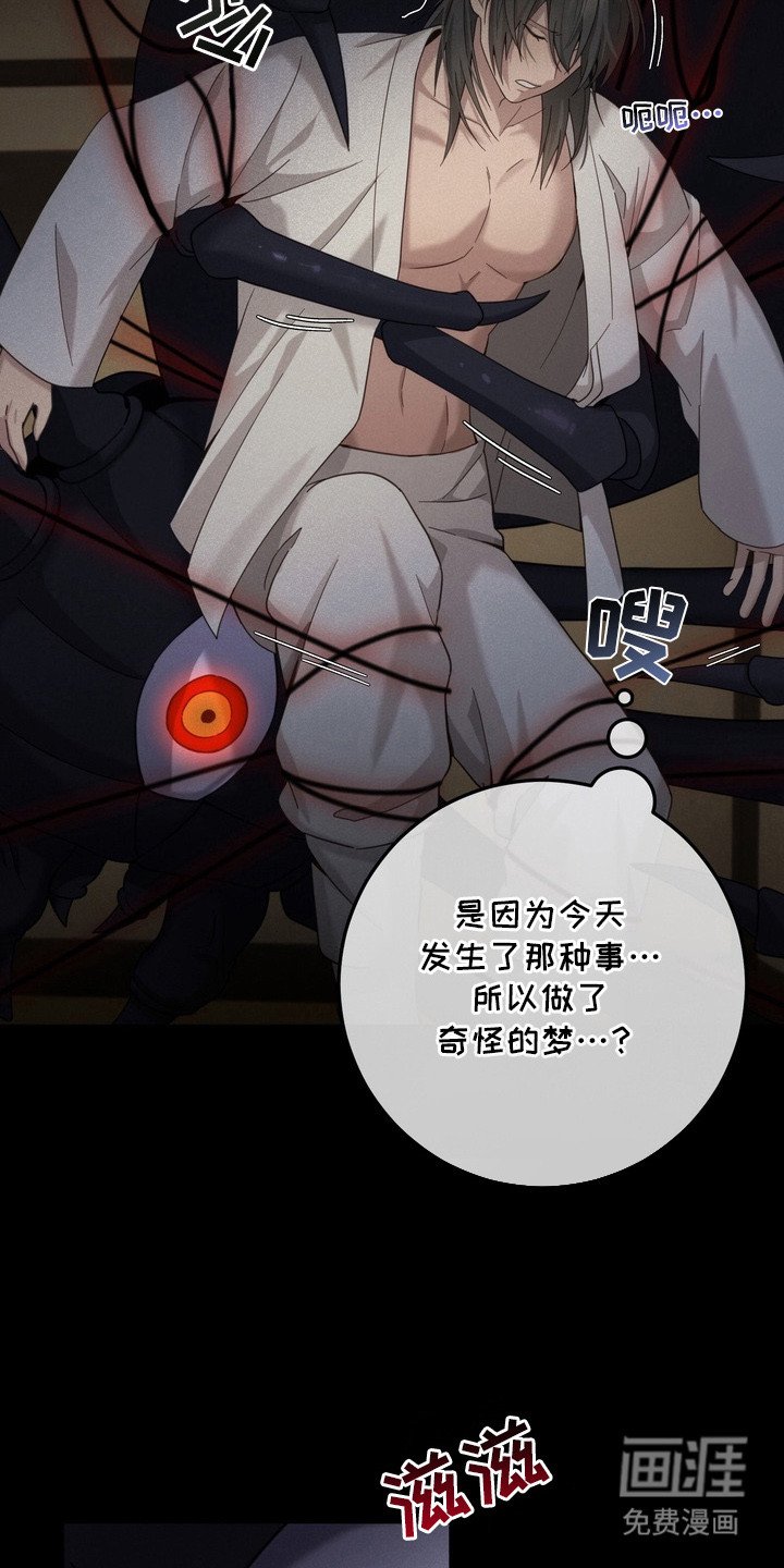 第5章：蜘蛛