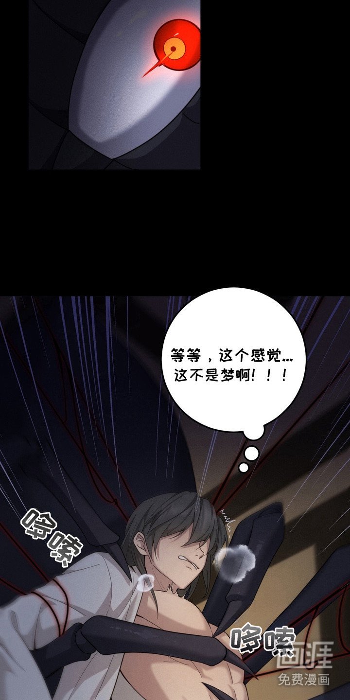 第5章：蜘蛛