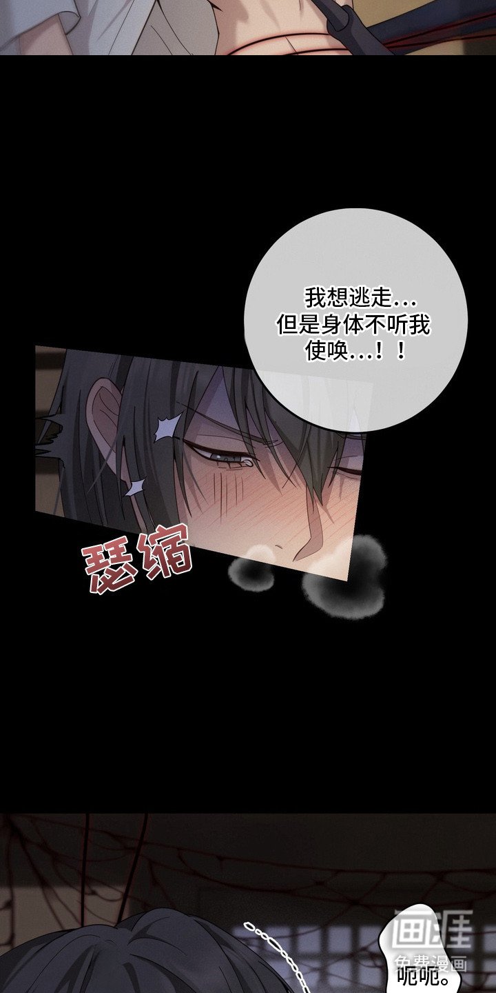 第5章：蜘蛛