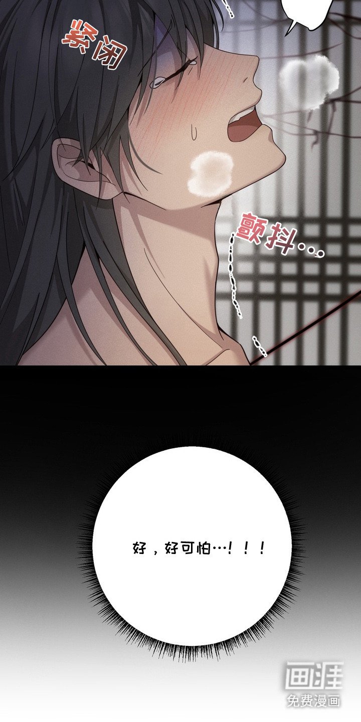 第5章：蜘蛛