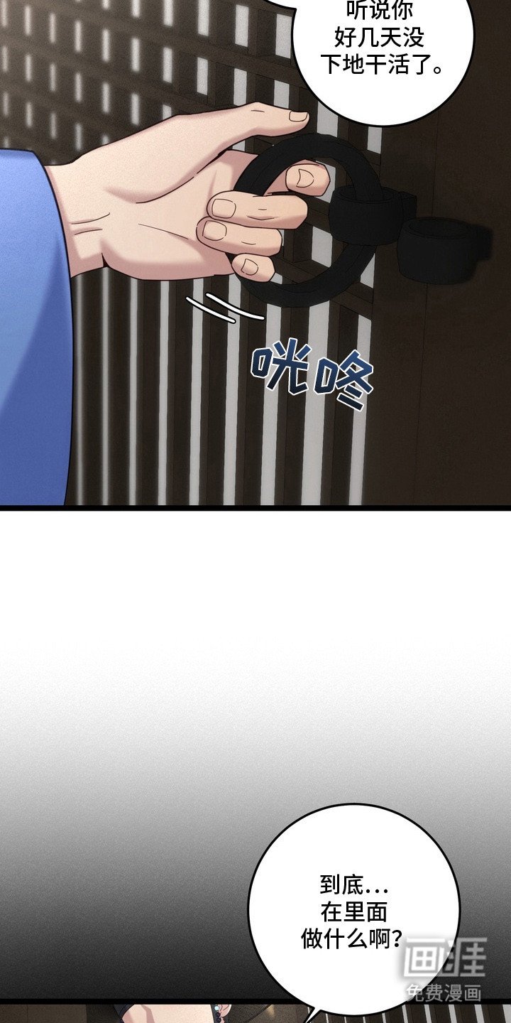 第5章：蜘蛛