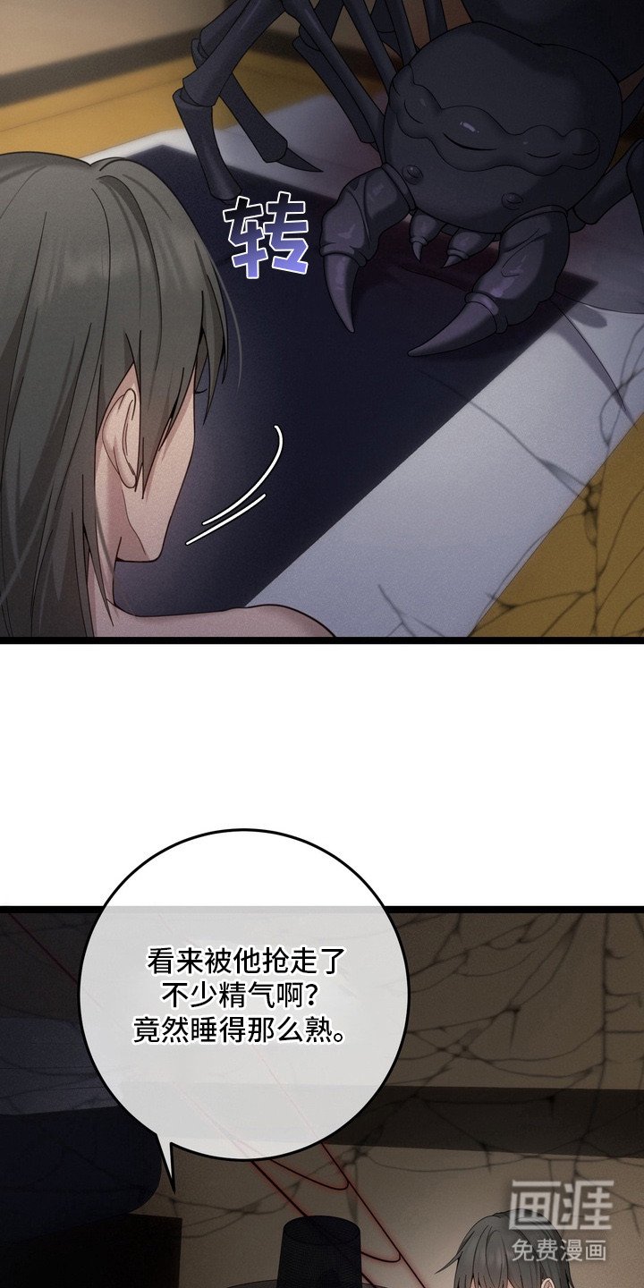 第5章：蜘蛛