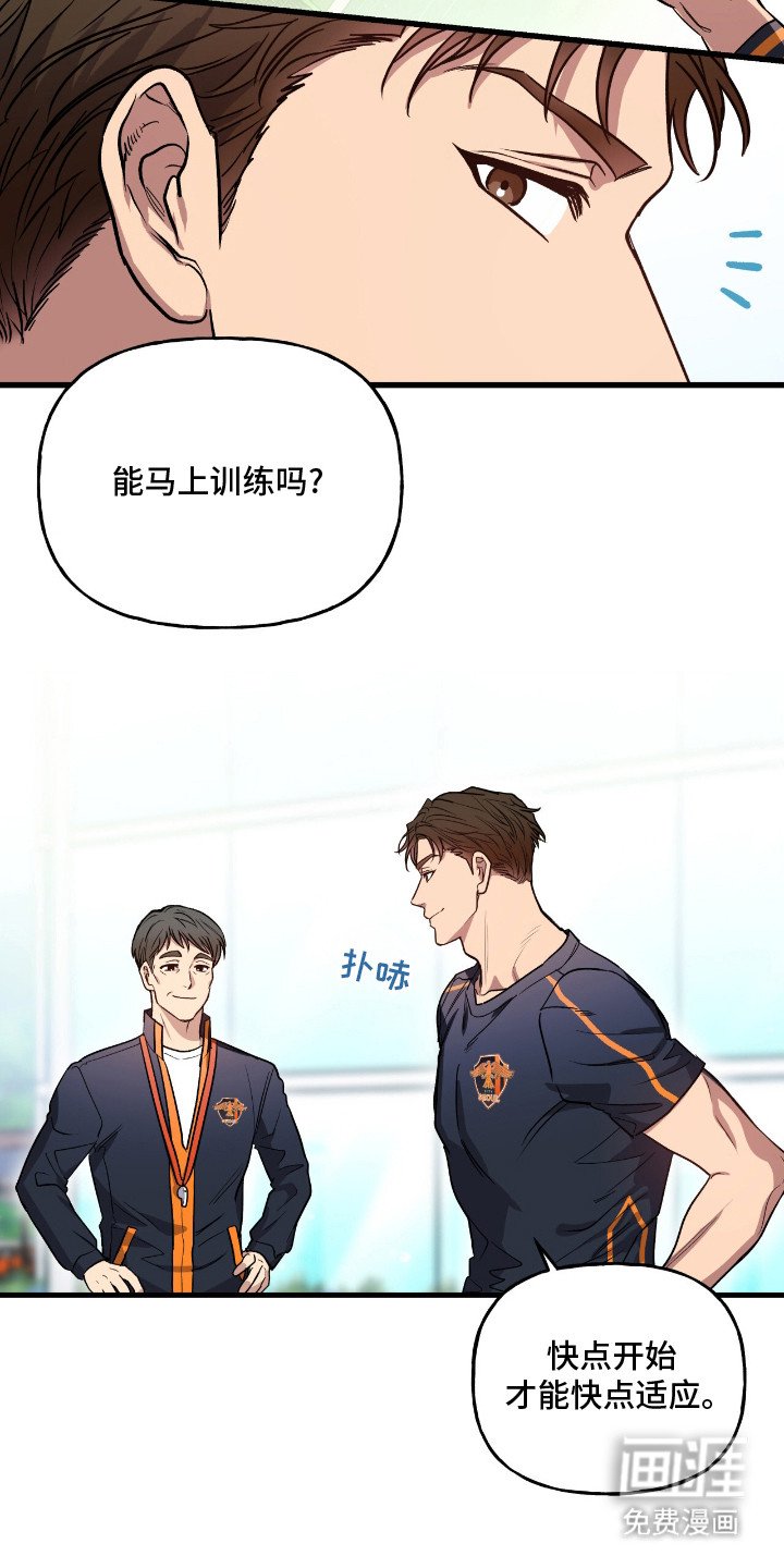 第1章：明星球员