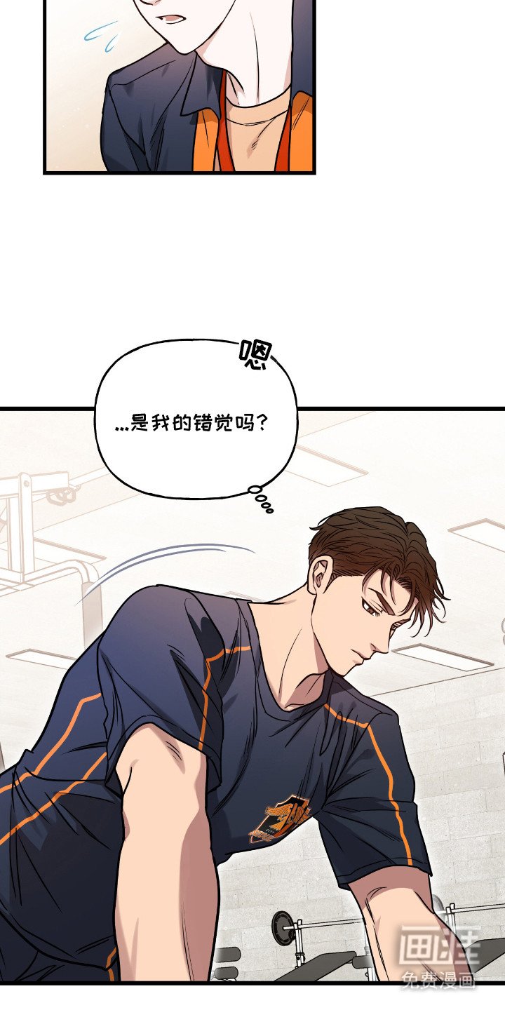 第6章：腰疼