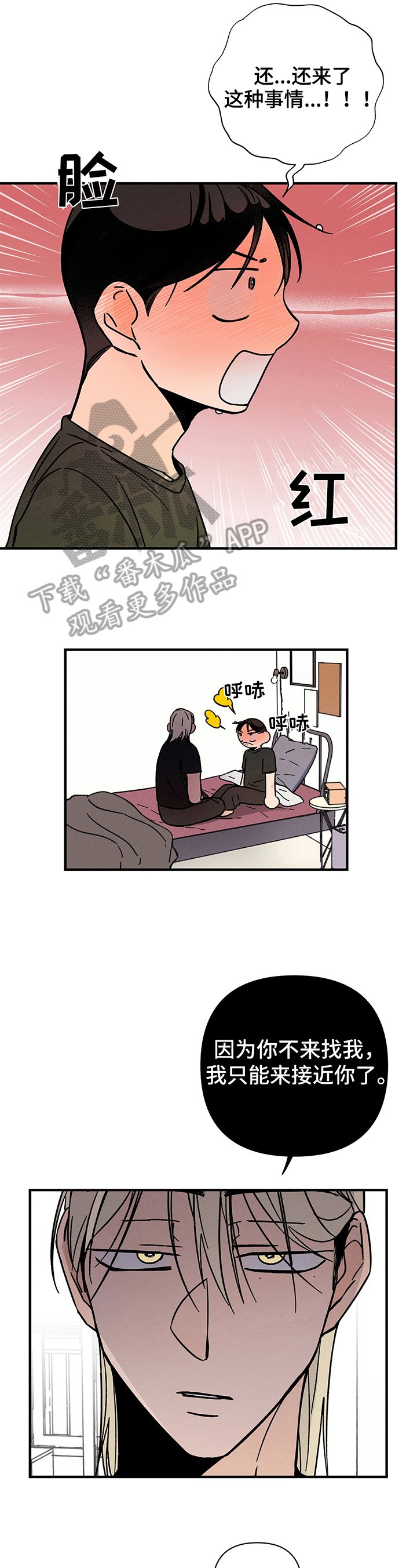 第16章：主动