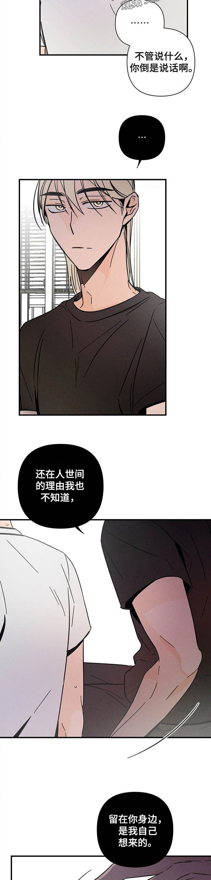 第25章：乱七八糟