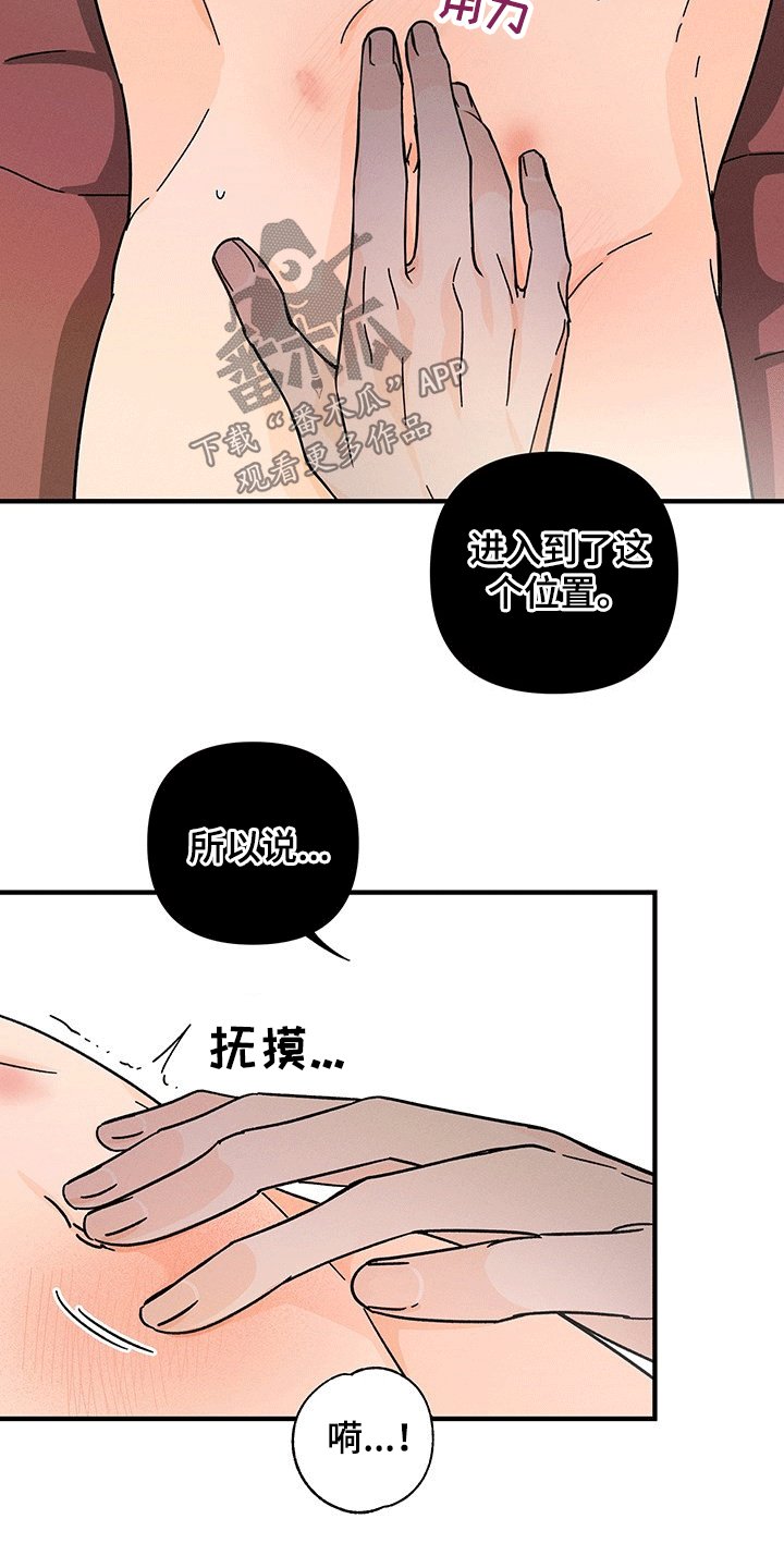 第26章：带领