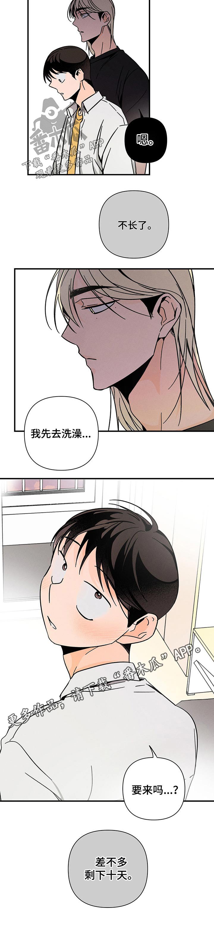 第31章：关心