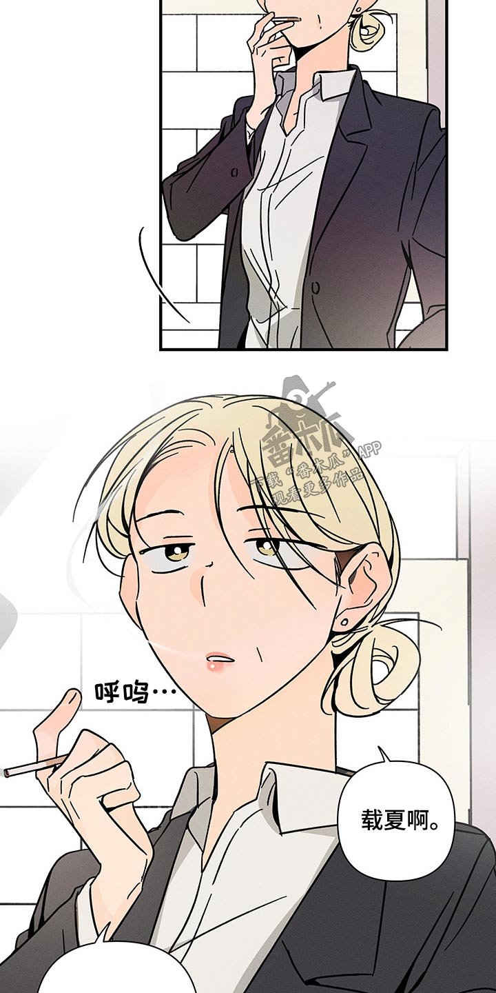 第43章：出现