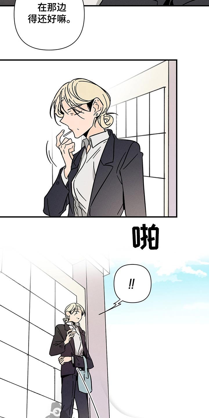 第43章：出现