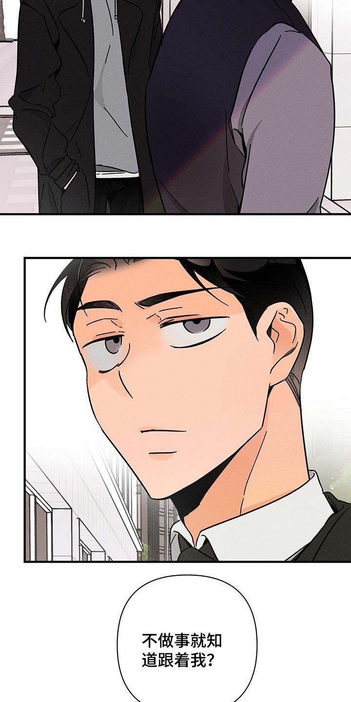 第46章：监视