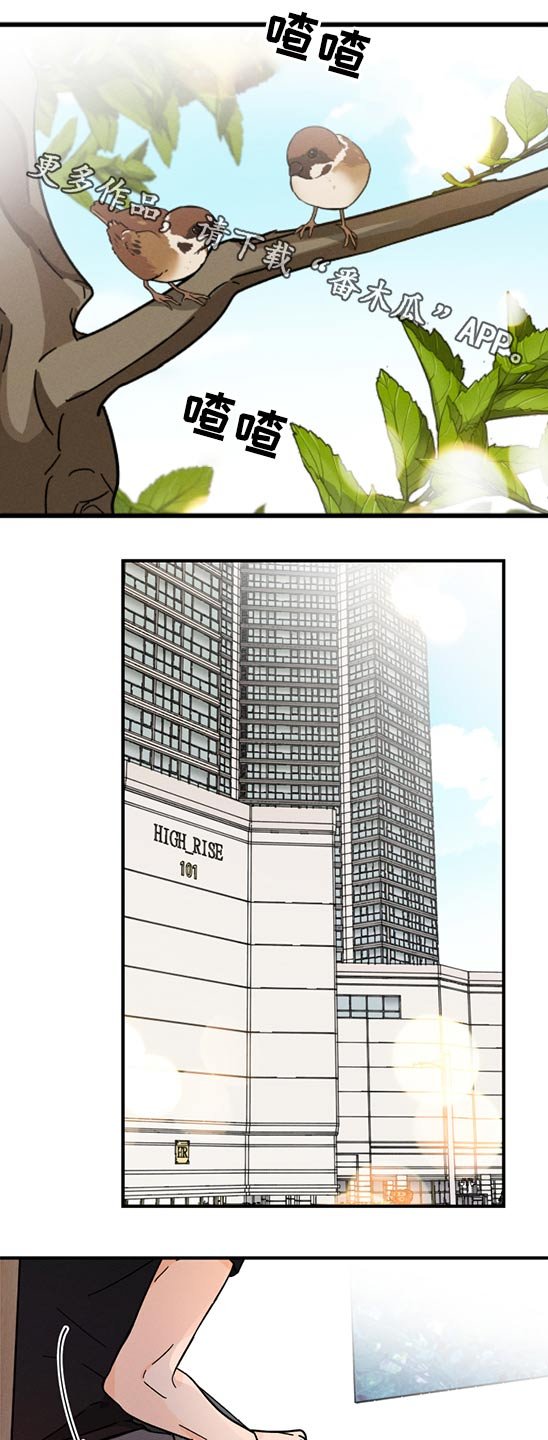 第53章：无法联系