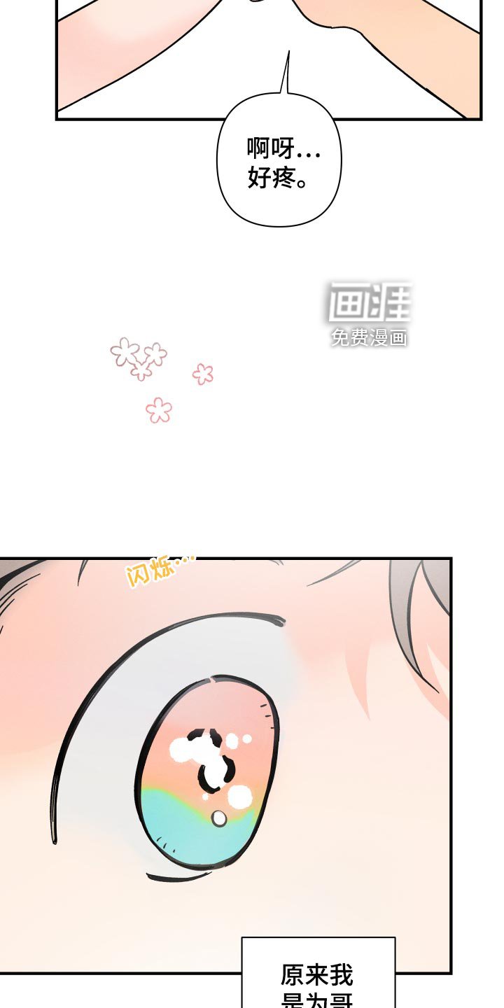 第60章：【番外】保护神